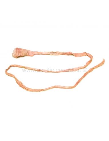 GENTILE - BUDELLO di maiale 100% naturale per salumi da 100/160 cm EUR 2,30  - PicClick IT