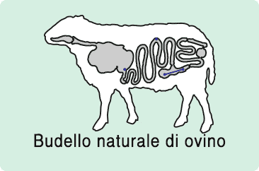 INVOLUCRO DI SALSICCIA Budello Di Salsiccia Budello Naturale Di Pecora  Budelli EUR 9,49 - PicClick IT